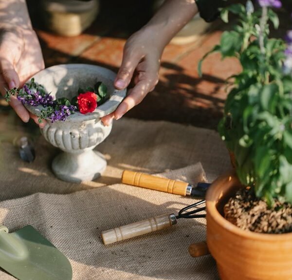 maximize your digital growth