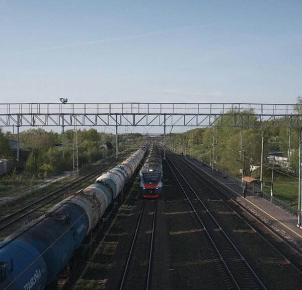 online platform for growth