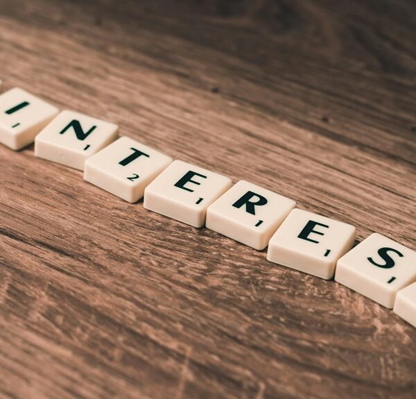 professional internet platform details