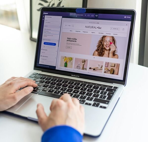 professional web platform guide